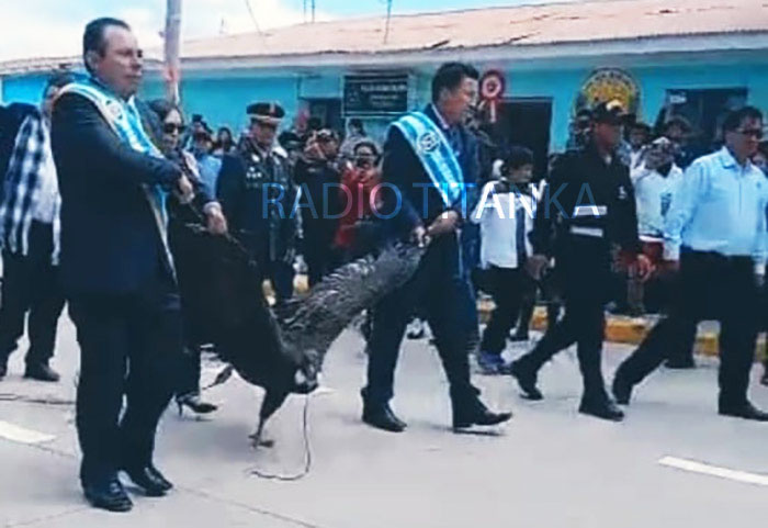 Arrastran cÃ³ndor andino durante desfile por aniversario patrio en Coyllurqui